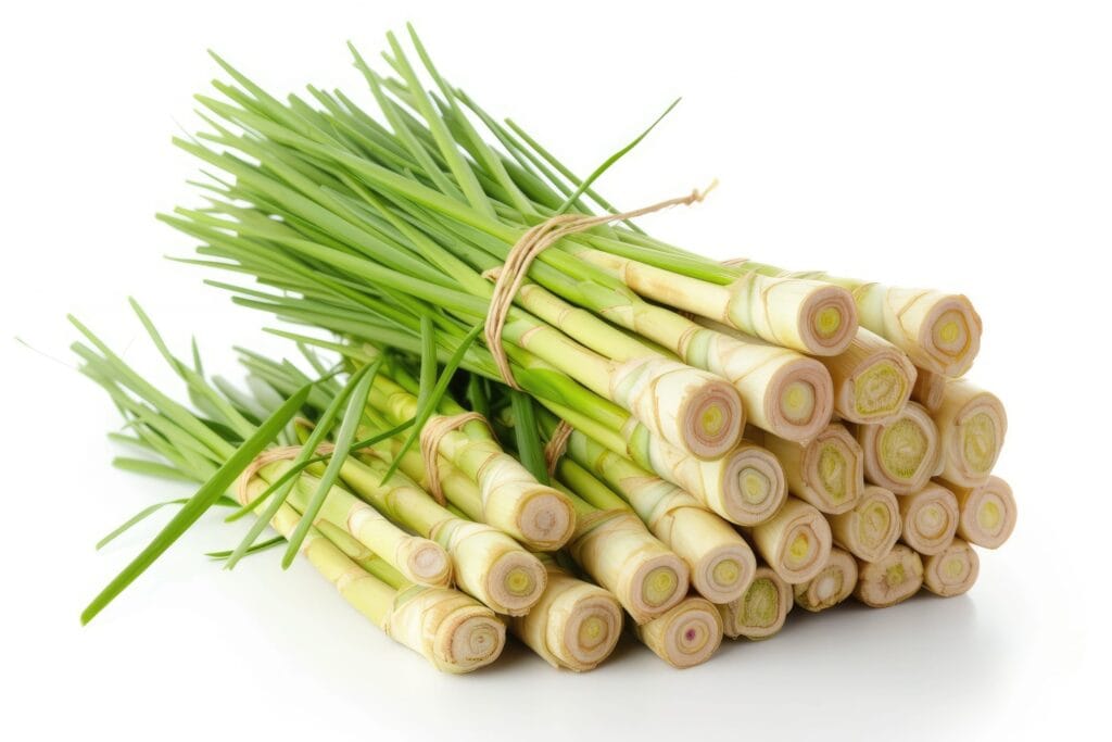 Lemon Grass | Mega Random Blog
